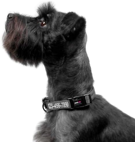 Dogline Grey Customizable Personalized Nylon Collar (W: 3/4" L: 13"-20")