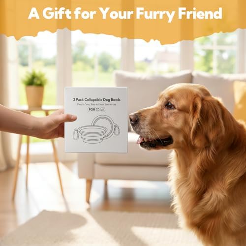 Collapsible Dog Bowl Large 34oz, Travel Dog Water Bowl Portable