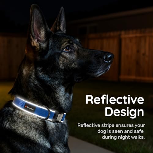 Personalized Dog Collar with QR Code Dog Tag, Oxford Blue S