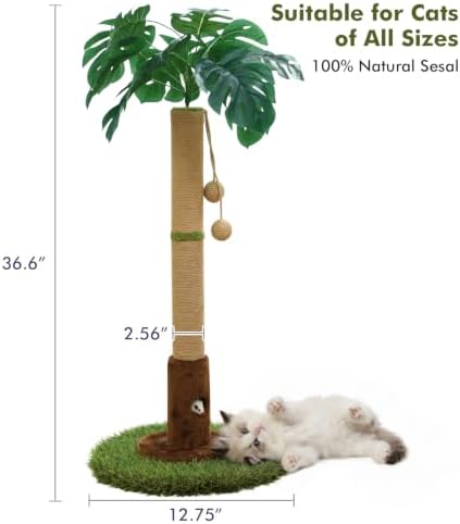 Woochpet Cat Scratching Post for Indoor Cats and Kitten - 35.43" Tall Cat Scratching Post with Sisal Rope,Palm Tree Cat Scratch Post with Hanging Ball