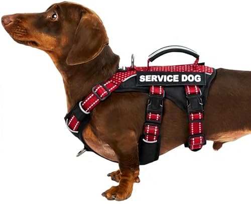 Huntboo Service Dog Vest Harness, Escape Proof Harness with 6 Patches, No-Pull, Reflective Harness with Handle, Adjustable for Small to Large Dogs, for Training and Hiking (Red, S)