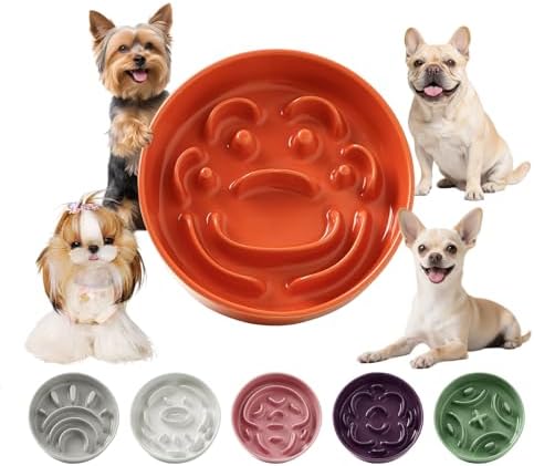 Ceramic Slow Feeder Dog Bowl, 0.8 Cups Anti -Slip Slow Feeding Bowl to Slow Down Eating, 6.3 Inch Dog Food Dish for Small Breeds, Orange