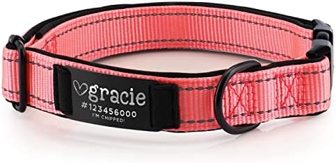 Improved - Personalized Dog Collars w/Engraved Metal ID Nameplate for Name & 3 Lines Text - Custom 20 Icons, 4 Adjustable Sizes, 10 Fonts, Dog Collar for Dogs, Dog ID Tag Personalized, Light Pink