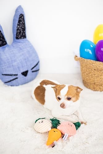 Pearhead Spring Garden Veggies Dog Toys, Plush Squeaky Rope Dog Toys