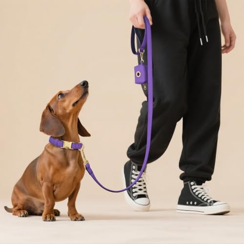 Didog Soft Padded Dog Collar for Small Dogs, Purple, S Neck 10-15"
