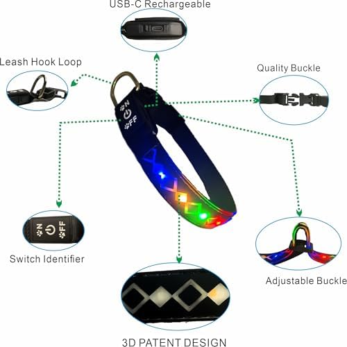 Personalized Flashing Dog Collar with Laser Engraved ID Tag