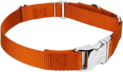 Country Brook Petz - Martingale Dog Collar - Heavy Duty Nylon Adjustable Martingale Dog Collar with Metal Buckle for Small Medium Large Breeds - 30+ Color Options (1 Inch, Medium, Orange)