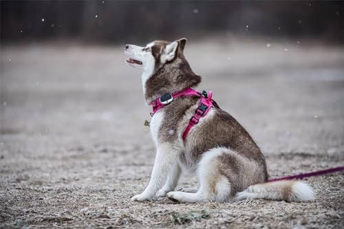TRUE LOVE Adjustable No-Pull Dog Harness Reflective Vest, Fushcia, XS