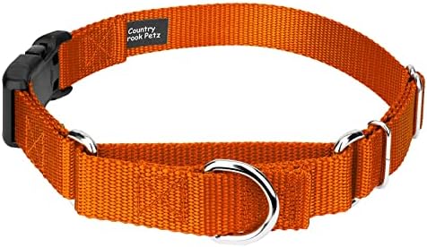 Martingale Dog Collar - Heavy Duty Nylon Adjustable Martingale Dog Collar with Plastic Buckle for Small Medium Large Breeds - 30+ Colors (5/8 Inch, Extra Small, Orange)