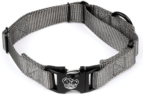 Country Brook Petz - Martingale Dog Collar - Heavy Duty Nylon Adjustable Martingale Dog Collar with Metal Buckle for Small Medium Large Breeds - 30+ Color Options (1 Inch, Large, Charcoal)