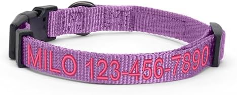 Pawtitas Personalized Dog Collar Small Dog Collar Embroider with Name Phone Number Puppy Collar Adjustable Customized Collar for Small Dogs Breeds Puppy Purple Dog Collar