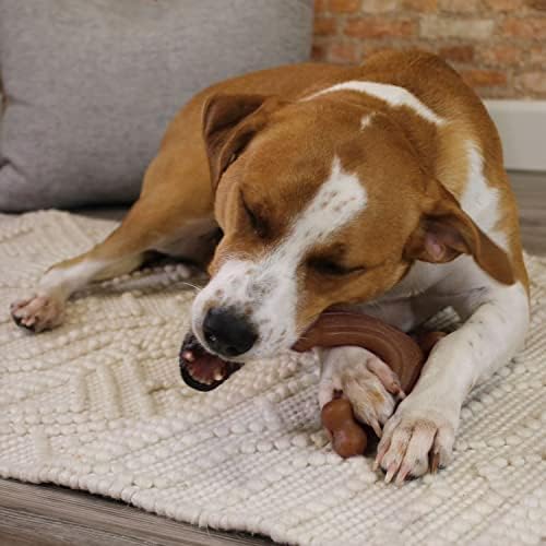 Nylabone Strong Chew Gourmet Style Dog Chew Toy Bundle, Large, 3 Count