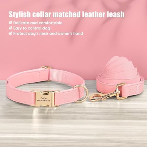 PET ARTIST Personalized Dog Collars, Custom Engraved Pink Dog Collar with Silent Name Tag, Gold Quick Released Buckle & Soft Nylon Padded, Elegant Colors & Matching Leash for Small Dogs,S Fit 9-14"