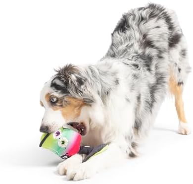 Huxley & Kent Funny Dog Toys w/Squeaker & Crinkle - Stimulating & Interactive Chew Toy for Dogs - Mesh Lined Stuffed Dog Toy - Easy to Clean Doggie Toys for All Breeds - Witch's Potion, One Size