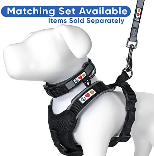 Pawtitas Black Dog Leash 6 ft Custom ID Lead for Dogs & Puppies Reflective Comfortable Padded Handle Embroidered Name & Phone Number