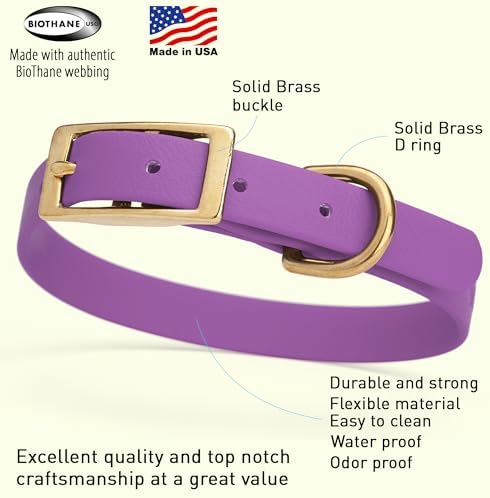 Viper Biothane Heavy Duty Waterproof Dog Collar Strong Coated Nylon Webbing w/Solid Brass Hardware Odor-Proof for Easy Care to Clean High Performance Fits Small Medium or Large Dogs, Amethyst Purple