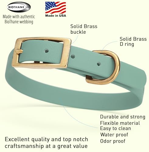 Viper Biothane Heavy Duty Waterproof Dog Collar Strong Coated Nylon Webbing w/Solid Brass Hardware Odor-Proof Easy to Clean High Performance Fits Small Medium or Large Dogs, Sage Green
