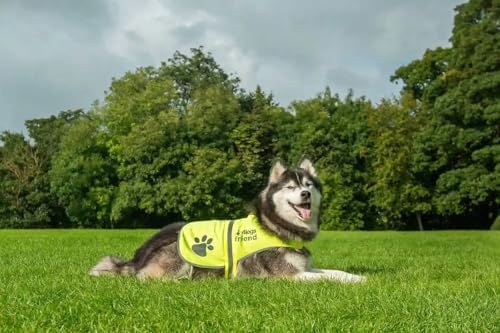 Safety Reflective Vest for Dogs - High Visibility for Outdoor Activity Day and Night, Protect Your Pet from Cars & Hunting Accidents