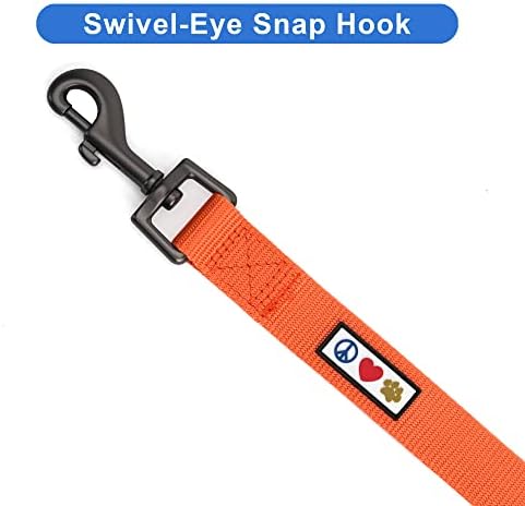 Pawtitas Personalized 6 ft Orange Dog Leash XXS/Cat Custom Name and Phone Embroidery Strong Nylon Leash for Small Breeds