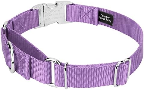 Country Brook Petz - Martingale Dog Collar - Heavy Duty Nylon Adjustable Martingale Dog Collar with Metal Buckle for Small Medium Large Breeds 30+ Color Options (1 Inch, Medium, Lavender)