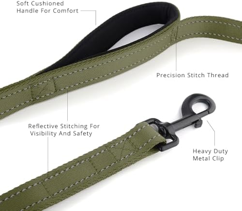 Plutus Pet Double Handle Dog Leash, 5 FT Long, for Medium Large Dogs