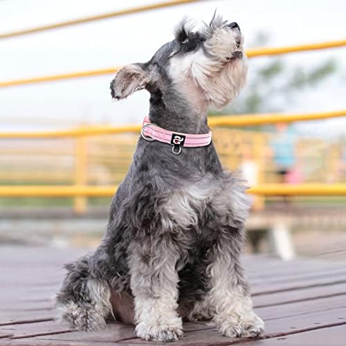 azuza Reflective Dog Collar, Neoprene Padded Small Dog Collar, Pink, S