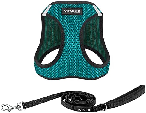 Best Pet Supplies Voyager Step-in Air All Weather Mesh Harness and Reflective Dog 5ft Leash Combo with Neoprene Handle, for Small, Medium and Large Breed Puppies - Turquoise 2-Tone, Large