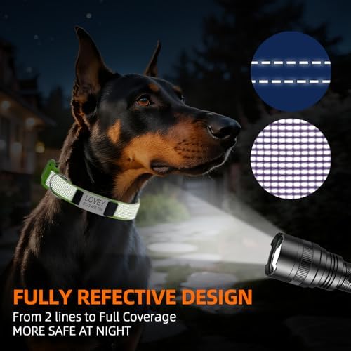 Personalized Dog Collars, Nylon Fully Reflective Dog Collar with Name Tag, Soft Padded - Custom Dogs Collars for Small, Medium, and Large Dogs&Pet