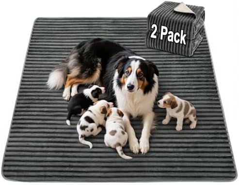 FunFurry Flannel Washable Pee Pad for Dogs - 2 Pack Reusable Dog Pee Pads, Puppy Pads, Fast Absorb Pet Playpen Mat with Non-Slip Back, Waterproof Puppy Training Pad. (Dark Grey, 24" X 36")