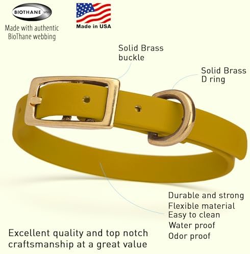 Viper Biothane Heavy Duty Waterproof Dog Collar Strong Coated Nylon Webbing w/Solid Brass Hardware Odor-Proof for Easy Care to Clean High Performance Fits Small Medium or Large Dogs, Treasure Gold