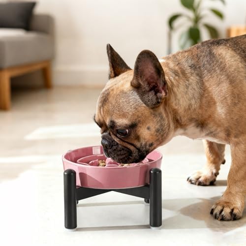 Elevated Slow Feeder Dog Bowl, 0.8 Cups Ceramic Raised Slow Feeder with Stainless Stand, 6.3 Inch Wide Lifted Dog Bowl for Small Breeds to Control Eating Speed, Pink