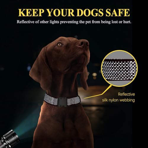 Personalized Reflective Dog Collar