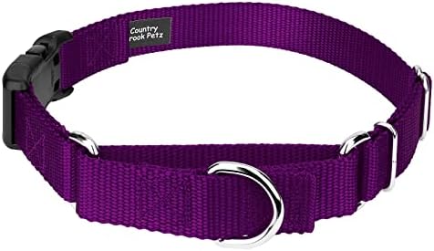 Martingale Dog Collar - Heavy Duty Nylon Adjustable Martingale Dog Collar with Plastic Buckle for Small Medium Large Breeds - 30+ Colors (1 Inch, Medium, Purple)