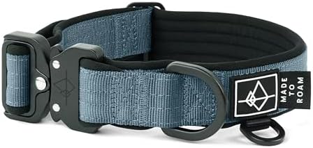 MADE TO ROAM Comfort Collar - Adjustable Nylon Dog Collar with Soft Comfortable Padding, Light Aviation Aluminum Metal Buckle for Small, Medium and Large Dogs (California Horizon, Size 0)