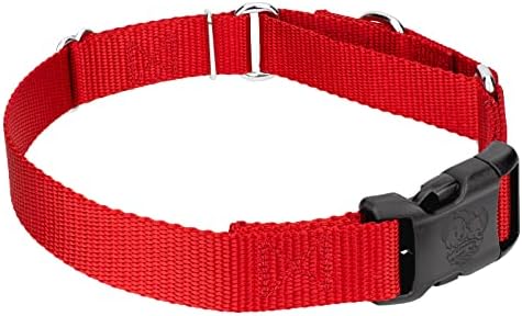 Martingale Dog Collar - Heavy Duty Nylon Adjustable Martingale Dog Collar with Plastic Buckle for Small Medium Large Breeds - 30+ Colors (1 Inch, Large, Bright Red)