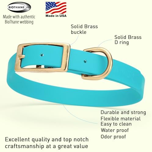 Viper Biothane Heavy Duty Waterproof Dog Collar Strong Coated Nylon Webbing w/Solid Brass Hardware Odor-Proof Easy to Clean High Performance Fits Small Medium or Large Dogs, Sky Blue