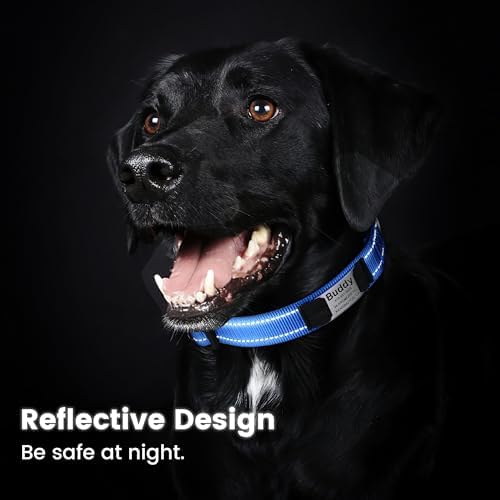 Personalized Dog Collars - Adjustable Reflective Dog Collar with Name Tag Engraved, Soft Neoprene Padded Breathable Nylon Dog Collar for Small/Medium/Large Dogs, Navy Blue, M