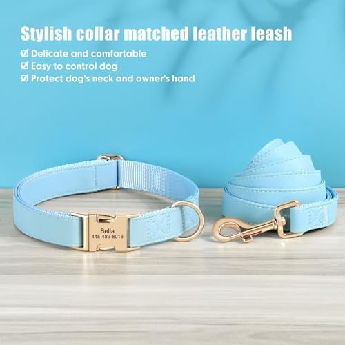 PET ARTIST Personalized Dog Collars, Custom Engraved Dog Collar with Silent Name Tag, Gold Quick Released Buckle & Soft Nylon Padded, Elegant Colors & Matching Leash for Large Dogs,Blue,L Fit 16-27"