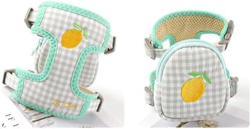 Pet Backpack Harness with Leash Pet Self Mini Backpack Dog Poop Bag Dispenser Adjustable Pets Medium Daily Backpack Animal Leash Cat Dog Self Mini Carrier for Dog Training Walking (Mint Green, Small)
