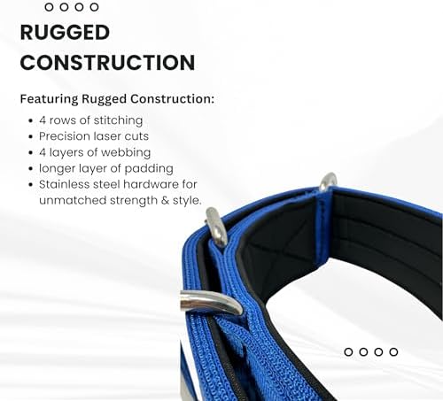 SparkDog 2" Padded Working Dog Collar (Blue, 2" Padded (16-21" Neck)