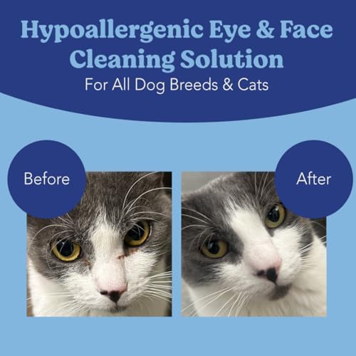 Angels' Eyes Dog & Cat Tear Stain Wipes | Eye Stain Remover Pads 100ct