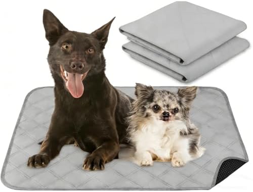 Reusable Puppy Pads Waterproof Washable Puppy Pad 20 x 28-inch Large Dog Puppy Whelping Pet Pee Ded Pad (2 Pack)