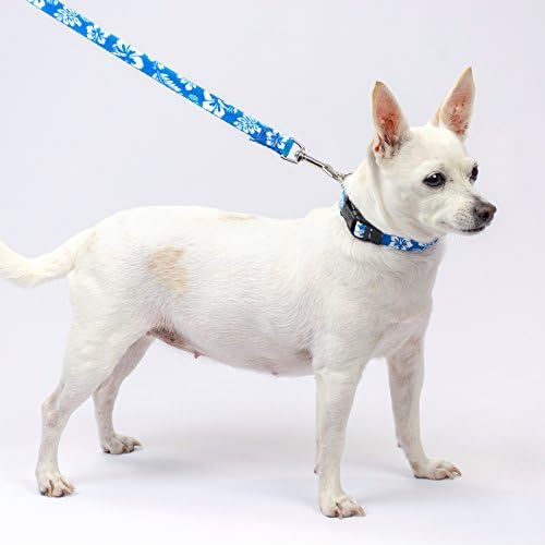Country Brook Petz - Blue Hawaiian Everyday Dog Leash - Summer Breeze Collection Featuring Sunny Designs (4 Foot, 5/8 Inch Wide)