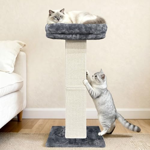 Cat Scratching Post with Plush Perch for Indoor Cats, 32 Inch, Grey