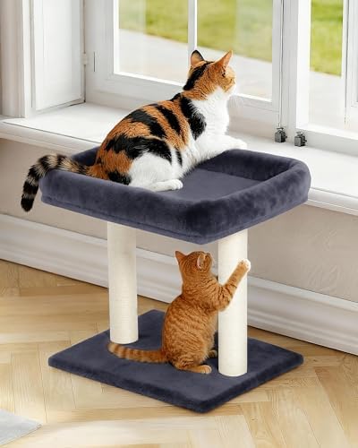 19" Small Cat Tree with Scratching Post for Indoor Cats with Perch