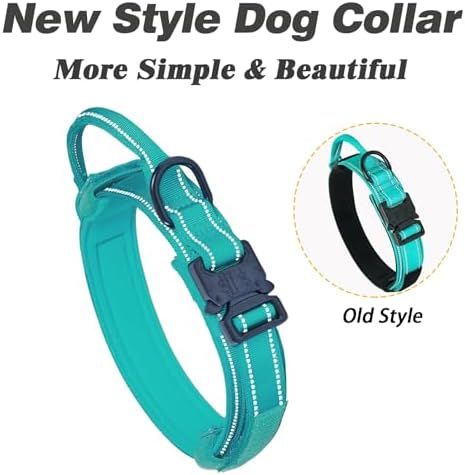 AUBELL Reflective Tactical Heavy Duty Dog Leash and Collar Set,Teal L
