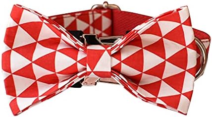 Custom Dog Collar with Names and Phone Number Engraved, Puppy Tags Personalized for Small Medium Large Pets