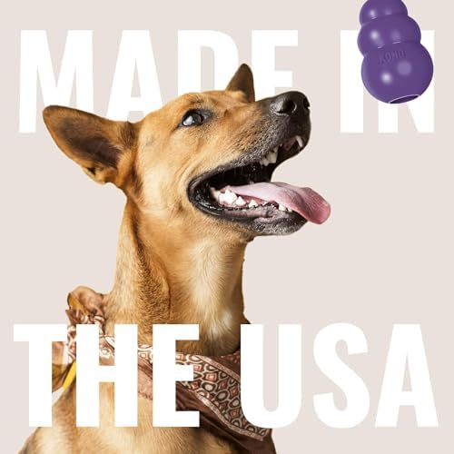 KONG Senior, Gentle Natural Rubber Toy, for Small Dogs (Pack of 2)