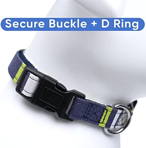 Pawtitas Multicolor Dog Collar - Extra Small, Green/White/Blue
