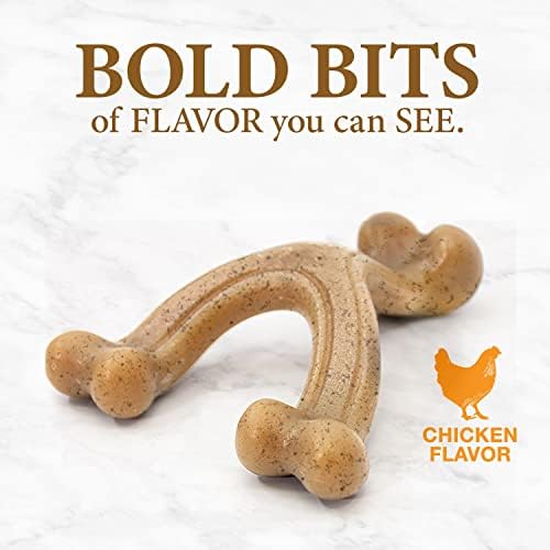 Nylabone Strong Chew Gourmet Style Wishbone Dog Chew Toy, Chicken Flavor
